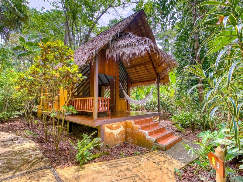 Autotour Entre volcans et forêts, l'âme du Costa Rica pas cher photo 15