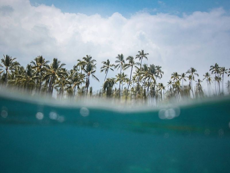 Combiné hôtels Loin du monde : séjour secret sur les rivages costaricains pas cher photo 3