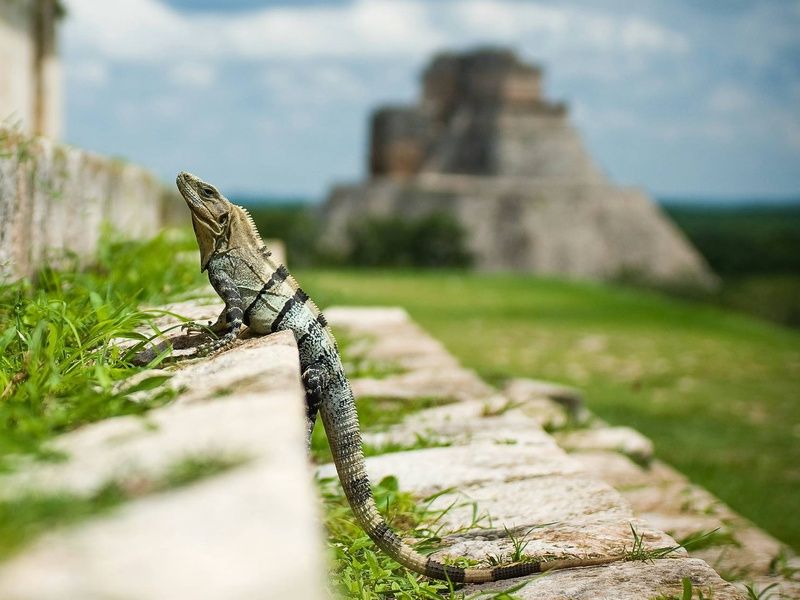 Circuit L'essence du Yucatán : de Cancun à Chichén Itzá pas cher photo 7