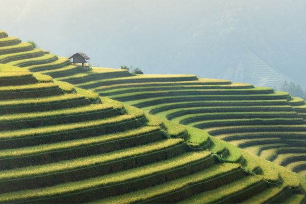 Circuit Aux origines du Vietnam : de Mu Cang Chai à Ta Giang Phin pas cher photo 23