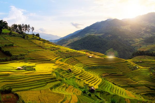 Circuit Aux origines du Vietnam : de Mu Cang Chai à Ta Giang Phin pas cher photo 24
