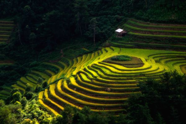 Circuit Aux origines du Vietnam : de Mu Cang Chai à Ta Giang Phin pas cher photo 26