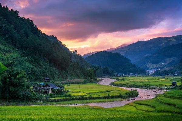 Circuit Aux origines du Vietnam : de Mu Cang Chai à Ta Giang Phin pas cher photo 27