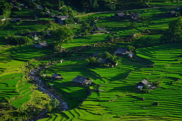 Circuit Sur les traces des Minorités : Nord Vietnam et Baie d'Halong pas cher photo 11