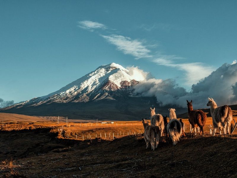 Circuit L'appel des Andes : de Quito aux mystères d'Ingapirca pas cher photo 2