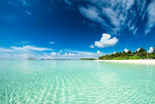 Circuit Merveilles du Sri Lanka et Extension Fihalhohi Island 4* Maldives pas cher photo 17
