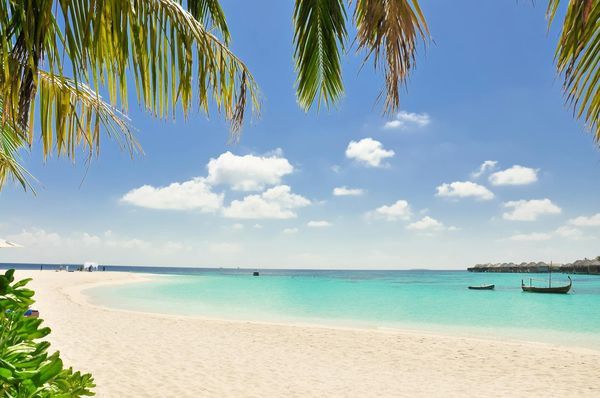 Circuit Merveilles du Sri Lanka et Extension Fihalhohi Island 4* Maldives pas cher photo 18