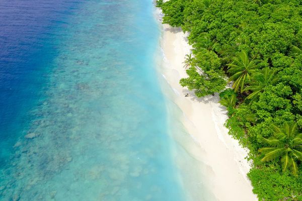 Circuit Merveilles du Sri Lanka et Extension Fihalhohi Island 4* Maldives pas cher photo 19