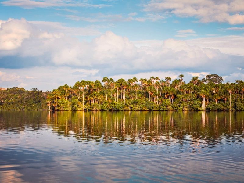 Circuit Des rives du lac Titicaca à l'Amazonie pas cher photo 4