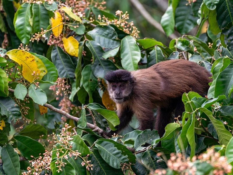 Circuit Le grand tour argentin : des Andes aux merveilles d'Iguazú pas cher photo 3