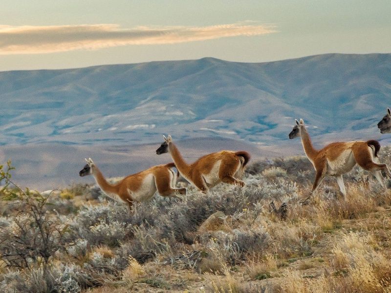 Circuit Le grand tour argentin : des Andes aux merveilles d'Iguazú pas cher photo 9