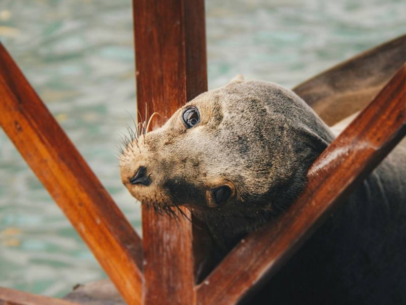 Circuit De la cordillère aux Galápagos : un voyage au coeur de la nature pas cher photo 2