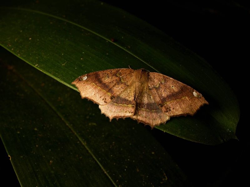 Circuit De la cordillère aux Galápagos : un voyage au coeur de la nature pas cher photo 13