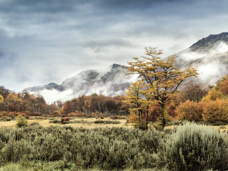Circuit Le grand tour argentin : des Andes à la Terre de Feu pas cher photo 7