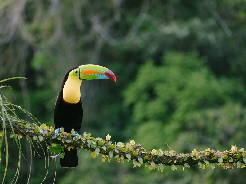 Circuit Le grand tour argentin : des Andes à la Terre de Feu pas cher photo 11