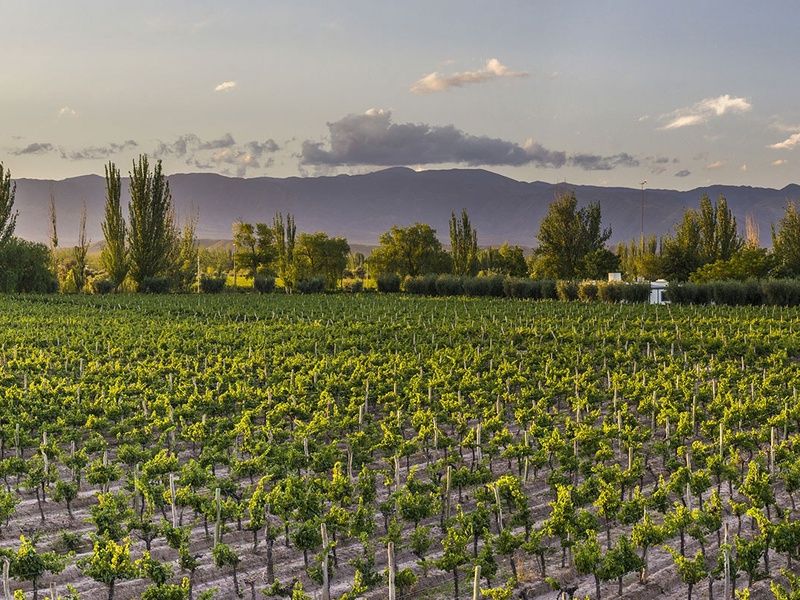 Road Trip L'Argentine en Roues Libres pas cher photo 13