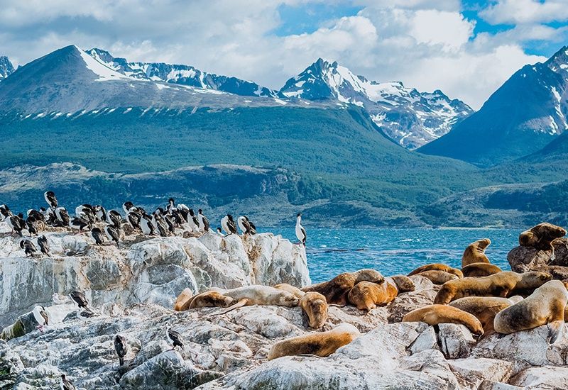 Circuit L'Argentine, de l'Altiplano à la Patagonie pas cher photo 12