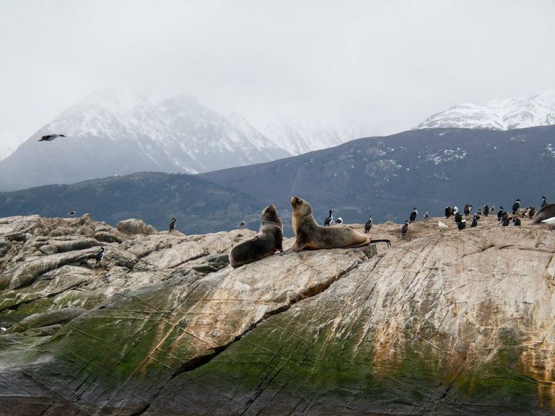 Circuit Le grand tour argentin : des Andes à la Patagonie pas cher photo 5