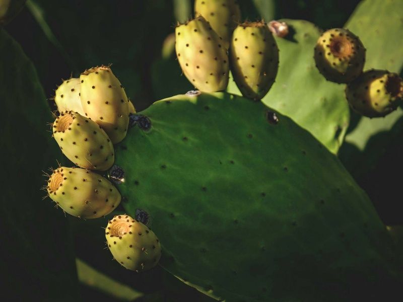 Circuit Le grand tour argentin : des Andes à la Patagonie pas cher photo 7