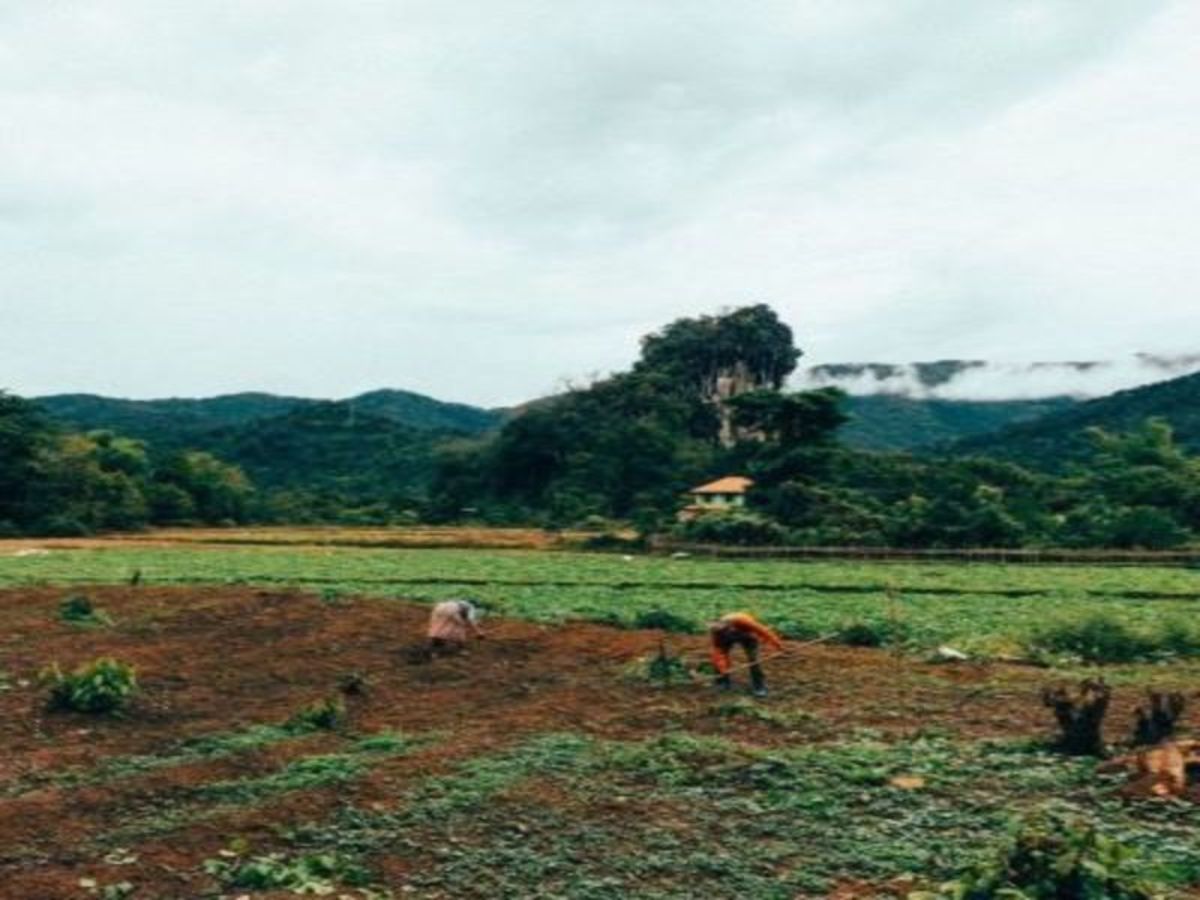 Immersion au coeur du Laos pas cher photo 6