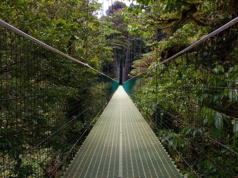 Tentatrice nature pas cher photo 3
