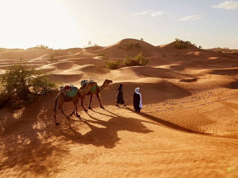 Circuit Le souffle des dunes : voyage à pied au coeur du grand sud pas cher photo 1