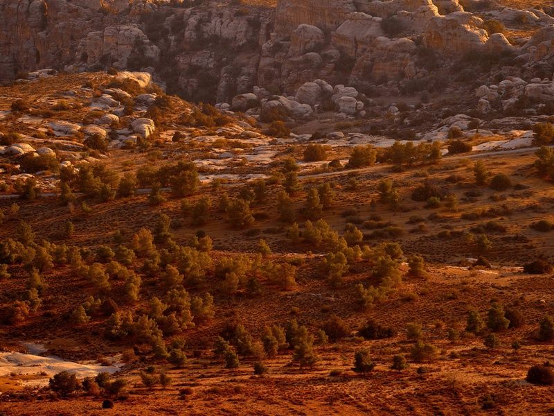 Circuit Là où le temps s'arrête : Jordanie, entre cités et déserts pas cher photo 4