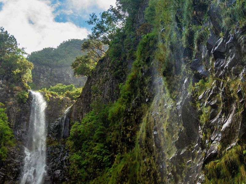 Circuit Madère sauvage : chemins d'eau et crêtes vertigineuse 3* pas cher photo 8