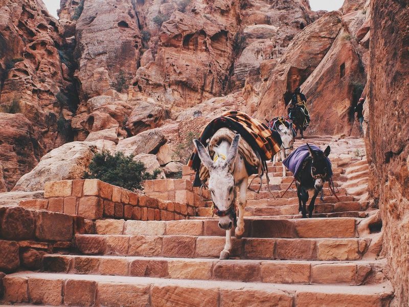 Circuit Sur les traces des Nabatéens : d'Amman aux sables du Wadi Rum 4* pas cher photo 10