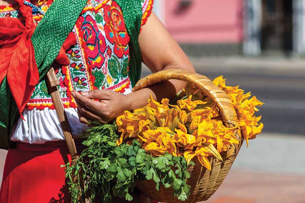 Indispensable Yucatan 2026 pas cher photo 10