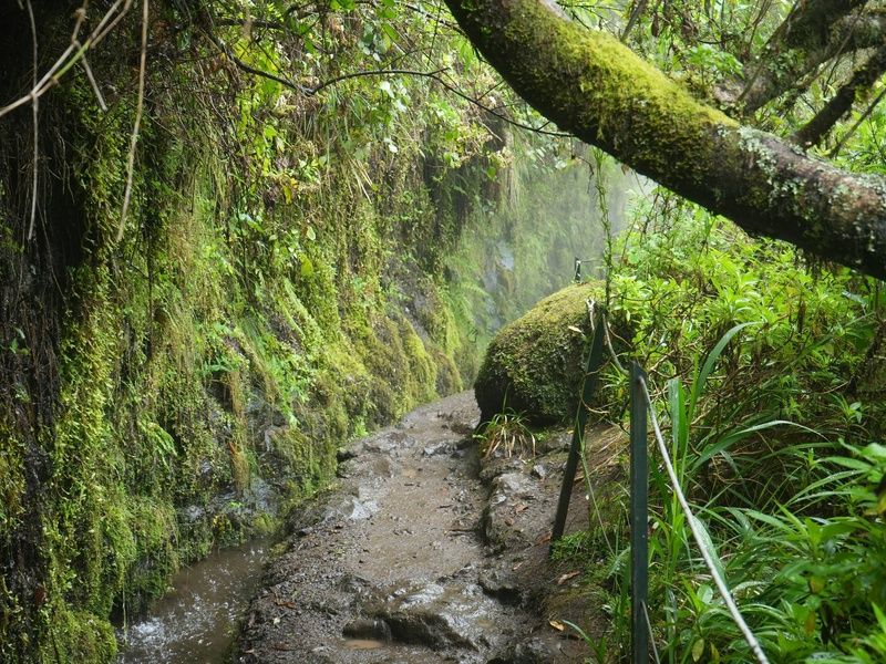 Circuit Ode verte à Madère Randonnées au fil des levadas et des forêts mystiques 4* pas cher photo 3