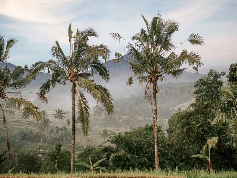 Circuit Sur la route des îles : Ubud, Candidasa et Lombok pas cher photo 1