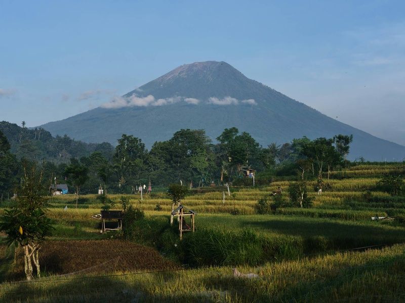 Circuit Sur la route des îles : Ubud, Candidasa et Lombok pas cher photo 3