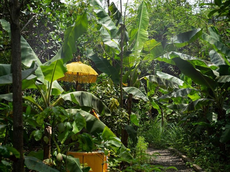 Circuit Sur la route des îles : Ubud, Candidasa et Lombok pas cher photo 4