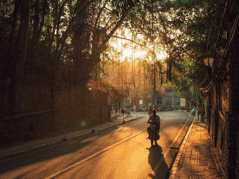 Circuit Sur la route des îles : Ubud, Candidasa et Lombok pas cher photo 11