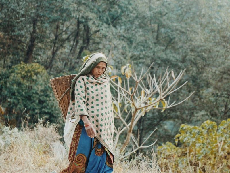 Circuit Entre cieux et forêts : voyage au coeur des traditions népalaises pas cher photo 10
