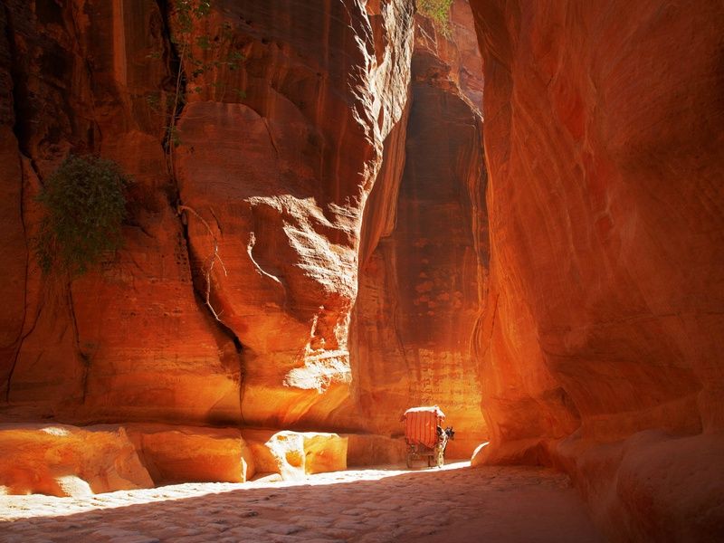 Circuit Sur la route des Rois : rando et vélo en Jordanie pas cher photo 12