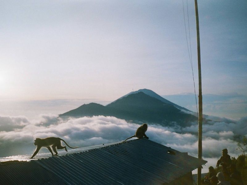 Circuit Aventure indonésienne : immersion à Java et Bali pas cher photo 5