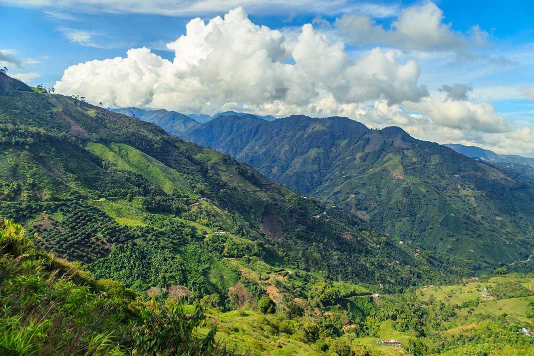 Regard sur la Colombie - Café, jungle et rythme latinos 2026 pas cher photo 9