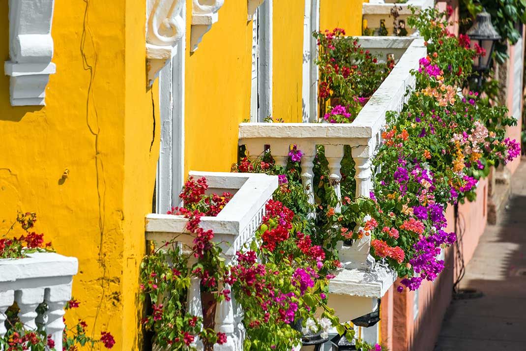 Regard sur la Colombie - Café, jungle et rythme latinos 2026 pas cher photo 10