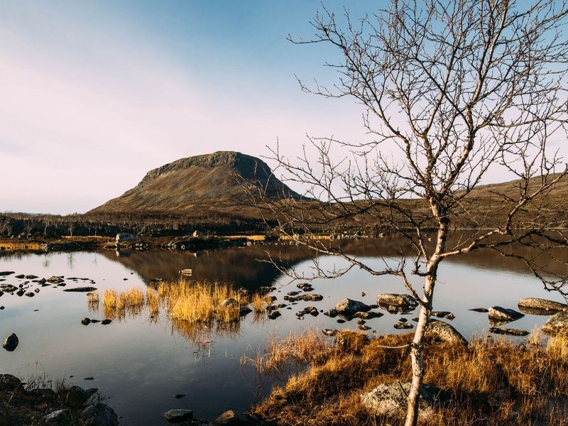 Circuit en Islande : Paysages Sauvages en été pas cher photo 2