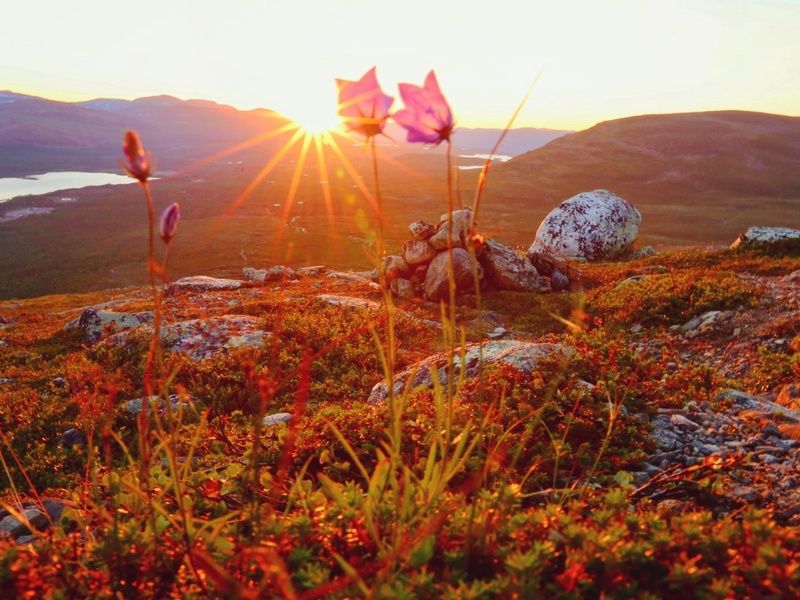 Circuit en Islande : Paysages Sauvages en été pas cher photo 4