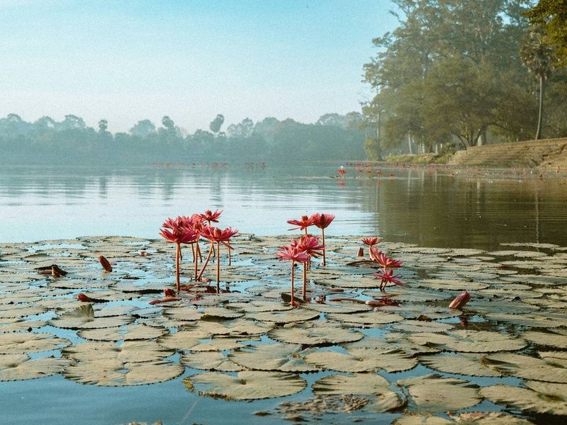 Combiné circuit et hôtel Voyage en terre cambodgienne : d'Angkor à l'île oubliée 5* pas cher photo 5