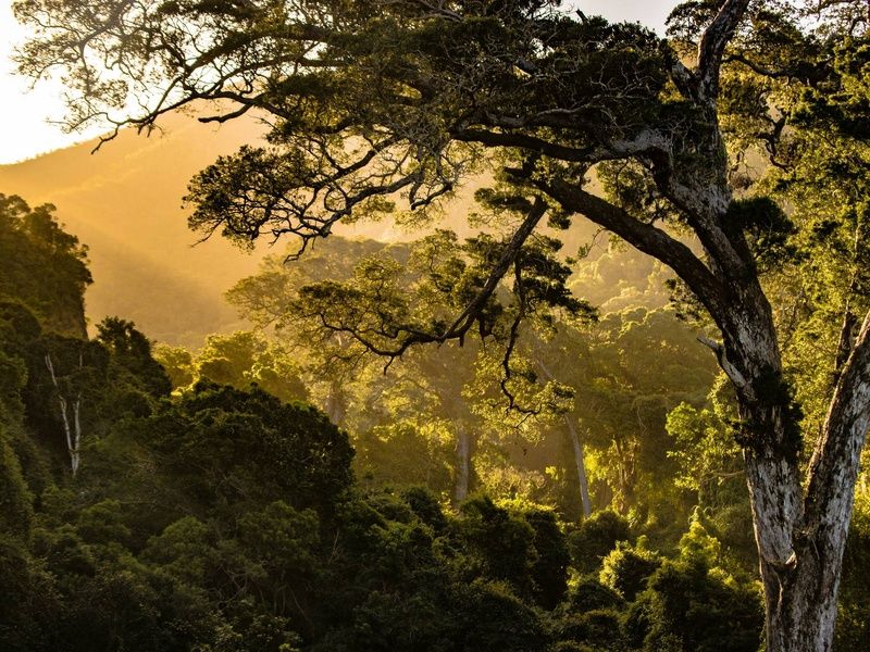 Circuit Légendes du Cap et de la savane 4* pas cher photo 17