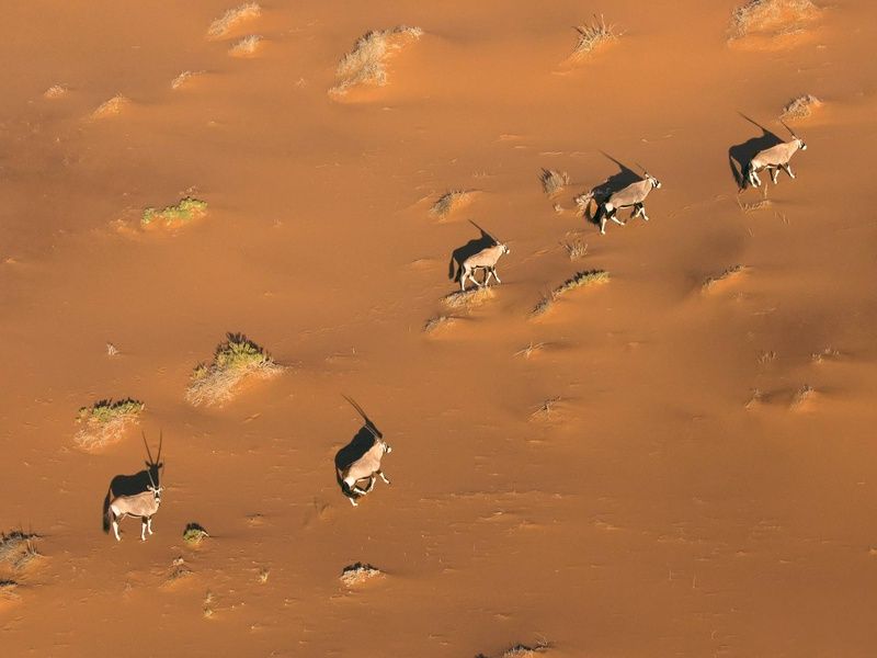 Autotour Sur les routes de Namibie 4* pas cher photo 2