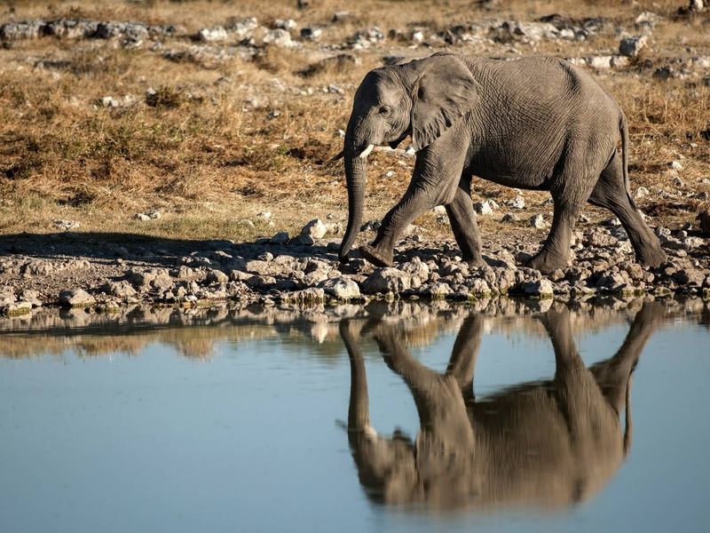 Autotour Sur les routes de Namibie 4* pas cher photo 6
