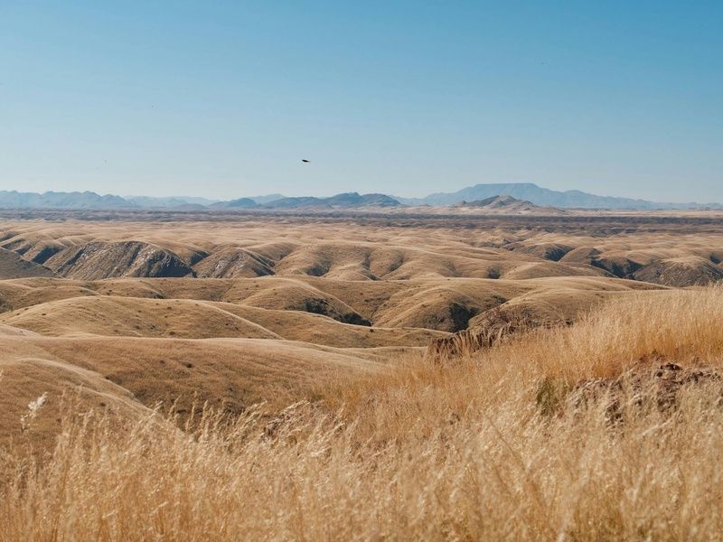 Autotour Sur les routes de Namibie 4* pas cher photo 10