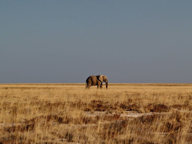 Autotour Sur les routes de Namibie 4* pas cher photo 14
