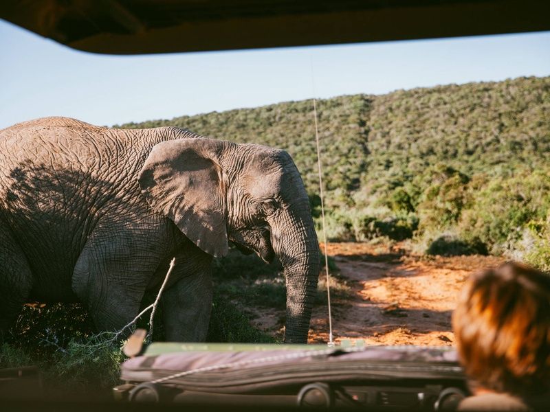 Circuit Terres d'Afrique Australe : de Kruger à Chobe 4* pas cher photo 14