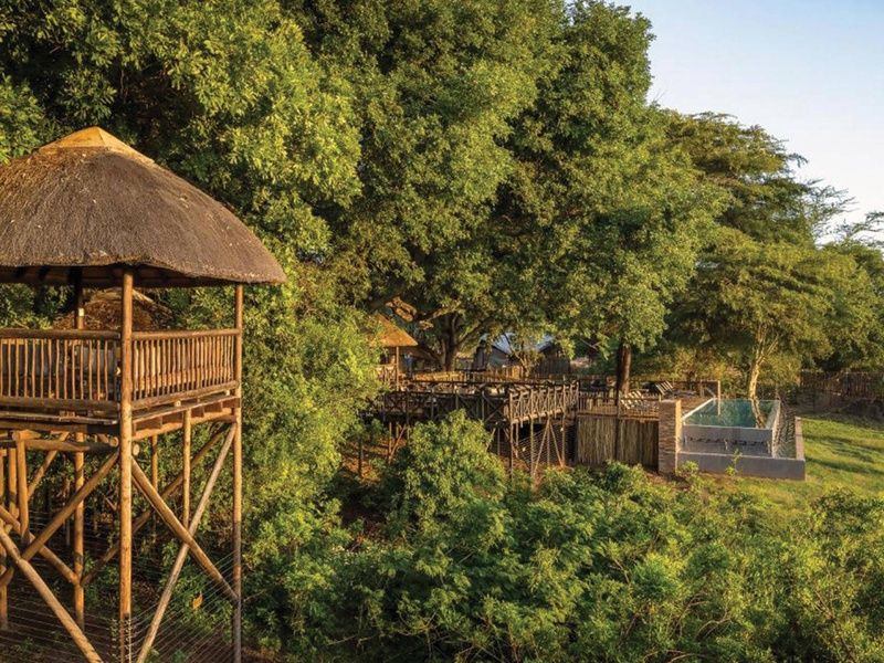 Circuit Terres d'Afrique Australe : de Kruger à Chobe 4* pas cher photo 17